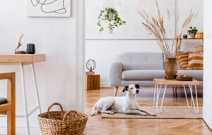 Pets em casa: como criar um espaço ideal para cães e gatos